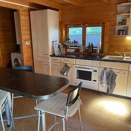 Ferienhaeuser An Den Orgelpfeifen Scheibenberg Zewnętrze zdjęcie